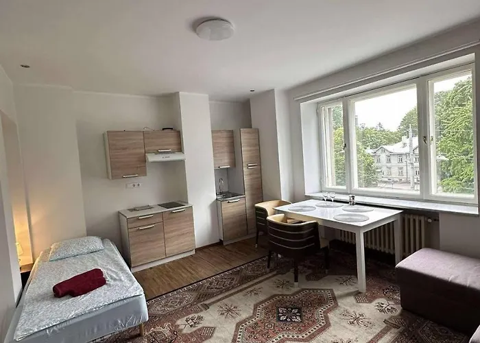 Private 5 Min Walk From Old Town Πανσιόν Ταλίν